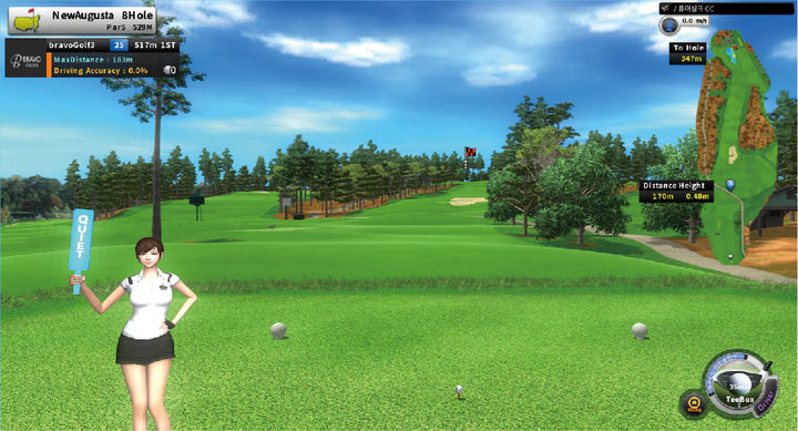 Bravo Golf Simulator fairway view with accurate shot distance and trajectory simulation