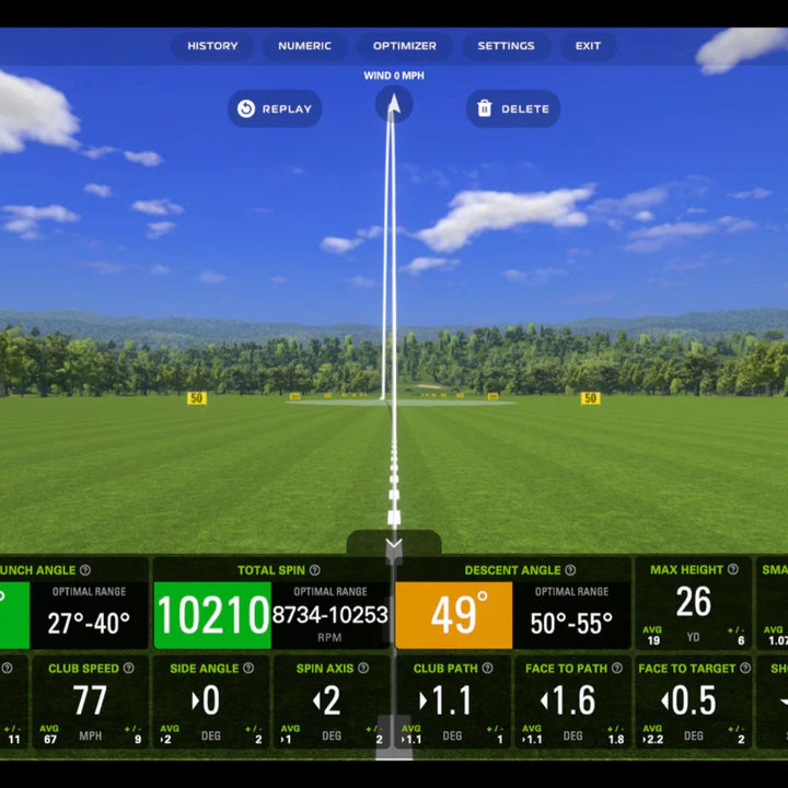 Ball flight analysis virtual interface